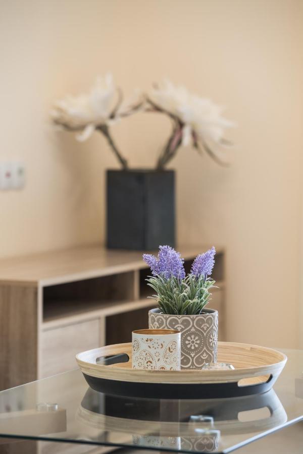Bounatsa Studios & Apartments ニドリ エクステリア 写真